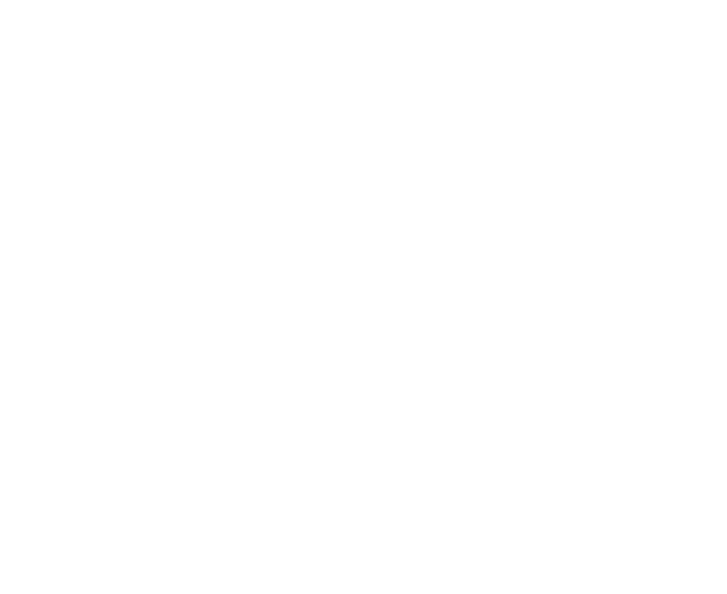 The Optimal Health Chiropractic website white logo